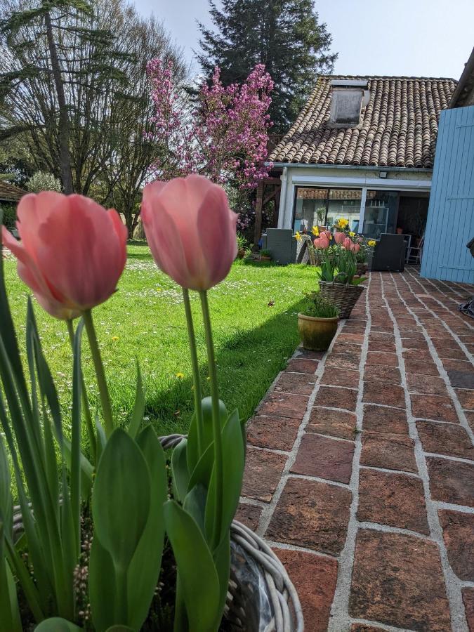 SarronDomaine Du Tafiart住宿加早餐旅馆 外观 照片